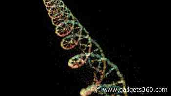 Genetic Mutations May Directly Influence Epigenetic Clocks and Aging