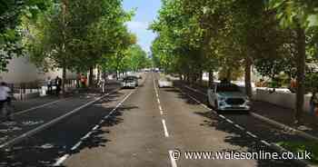 Council's &pound;1.4m funding pot for contentious cycle path will be reallocated