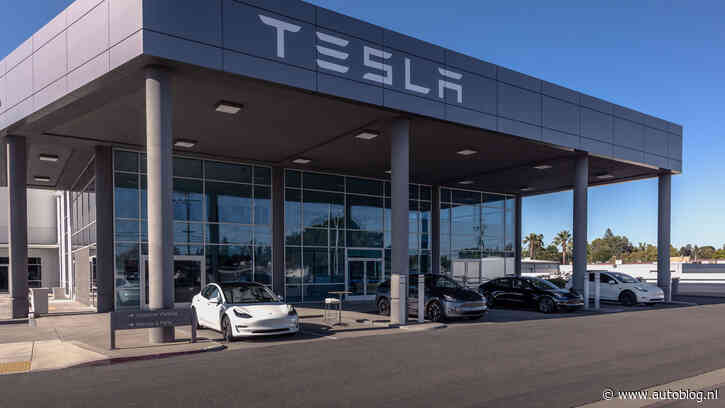 Tesla Takedown: activisten gaan massaal demonstreren bij showrooms