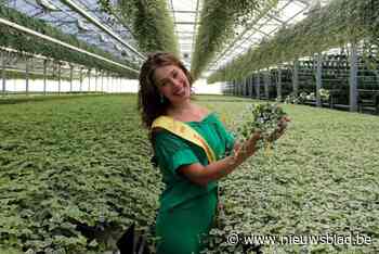 De sympathiekste is ze al, en nu zit ze ook in de top-5 voor het Miss België kroontje: wordt dit de dag van ‘onze’ Nette De Mol?