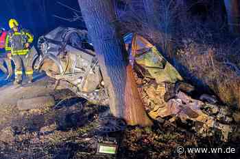 Autofahrer übersteht Kollision mit Baum leicht verletzt