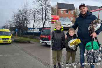 Zwembad en sportcentrum ’t Beerke even ontruimd na gasalarm: “We moesten onmiddellijk uit het water”
