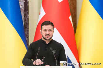 Trump officials pitch Zelenskyy on U.S. owning 50% of Ukraine's rare earth minerals