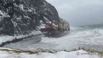 Crew rescued after cargo vessel runs aground on Newfoundland's west coast