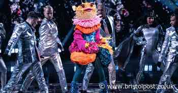 Who is The Masked Singer's Pufferfish? All the theories from theatre star to Glee actor