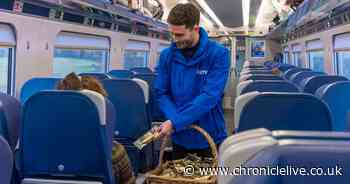 Ringtons tea and coffee to be gifted to Lumo passengers on Random Acts of Kindness Day