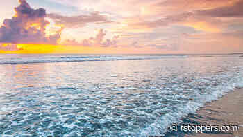 Tourist Loses Both Hands After Trying to Take Photos of Shark