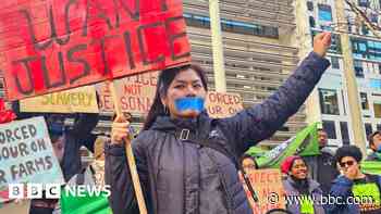 More migrant workers claim UK farm exploitation