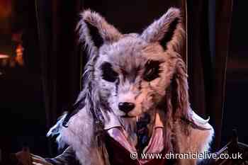The Masked Singer's Wolf has 'cover blown' by fans before ITV final as star breaks silence