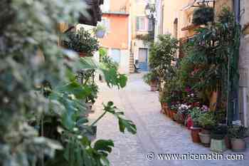 "Nous n’allons pas nous arrêter là, et poursuivre des projets de renaturation": la commune de Biot récompensée pour ses rues fleuries