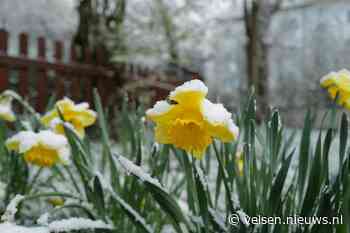 Nog even kleumen, maar de eerste lentedagen komen eraan!
