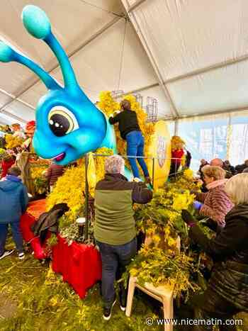 Fête du mimosa de Mandelieu: les chars de "La grande vadrouille des régions" fin prêts pour le grand corso fleuri de ce dimanche