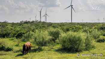 Trotz Donald Trump: Es lässt sich weiterhin in die Energiewende investieren