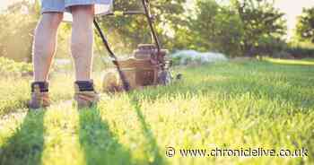 Expert says you should mow the lawn on this specific date - and it's not too far away
