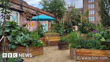 Urban garden venue applies for permanent spot