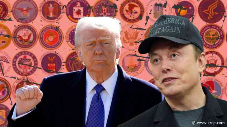 Here are the agencies purging federal workers