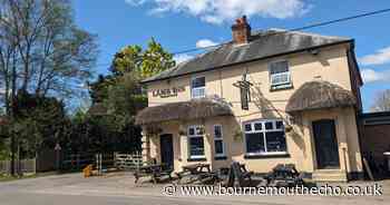The New Forest's highest pub with incredible walks from the doorstep