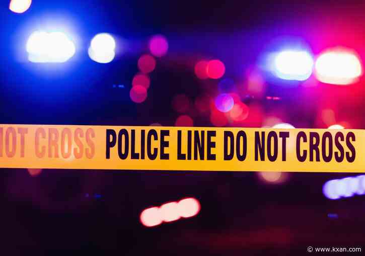 Wreckage of missing plane found in Florida woods