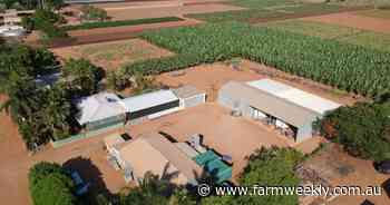 A Carnarvon plantation developed over more than 30 years is on the market