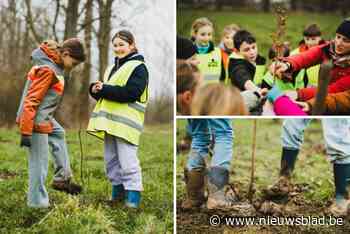 Leerlingen van drie Mechelse scholen planten 1.150 bomen aan in buurt Vrijbroekpark: “Groene omgeving wordt weer wat groter”
