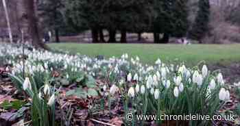 North East weather set for 'significant' change this week in Met Office forecast