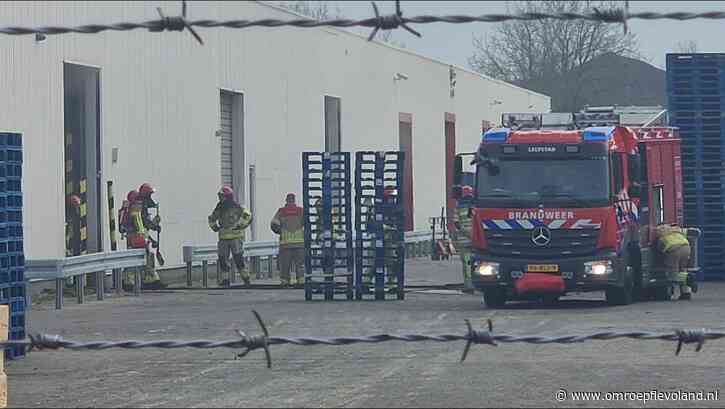 Lelystad - Brand bij palletbedrijf op industrieterrein Oostervaart door smeulend hout