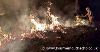 Wildfire breaks out on Upton heathland