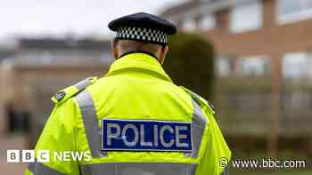 Girl 'under investigation' over threats to schools