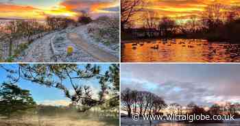 12 fabulous photos of Wirral's parks in the depths of winter