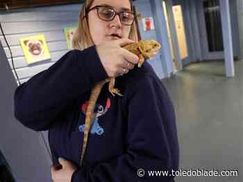 Operation Saves rescues all types of animals, and humans as well