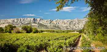 Avis aux amateurs de grands vins: Sainte Victoire devient le premier cru des Côtes de Provence