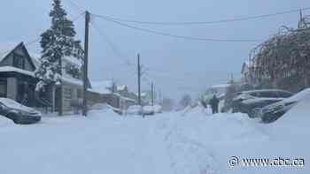 Facilities closed, programs cancelled Sunday as storm dumps snow on Hamilton, Niagara