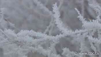 Wind chills prompt extreme cold warning across Alberta