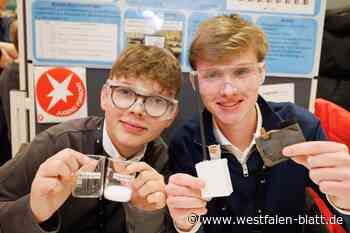 Jugend forscht: Schüler zeigen Grips und Ausdauer