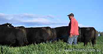 We can't make calls in the bush because our settings are wrong, telco says