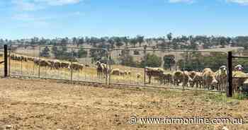 Owner's orders clear as farm goes under the hammer - sell, sell, sell
