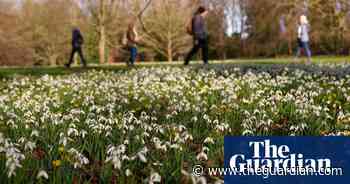 UK weather: temperatures could hit 14C this week after ‘anticyclonic gloom’