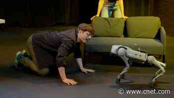 This Robot Dog Is Making Its Off-Broadway Theater Debut