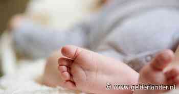 Baby in Italië doodgebeten door hond des huizes