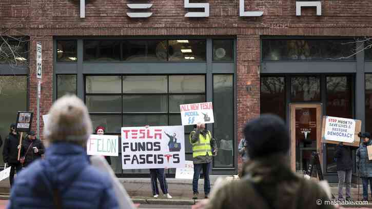 Protesters decry fascist Elon Musk at dozens of Tesla showrooms nationwide