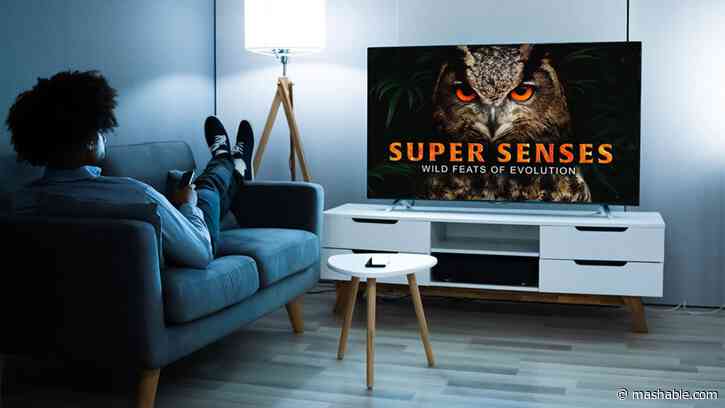 Explore the world from your sofa with a lifetime of MagellanTV