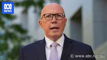 'There is not a silver bullet': Insurance sector dismisses Dutton carve up plan