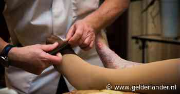 Thuiszorggroep in Elst failliet: Rollingcare en andere onderdelen stoppen zorgverlening