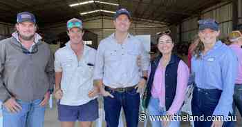 Photos: See who attended the Central West Young Aggies Parkes farm tour