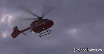 Baby flown by air ambulance to hospital in Edmonton following dog attack