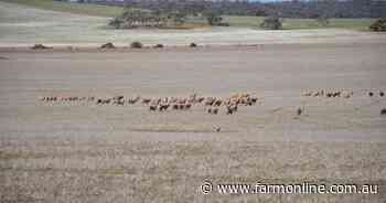 Keep spending marketing dollars, but communicate better with woolgrowers