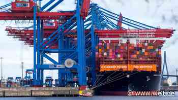 Wenn Reedereien und Umweltschützer gemeinsam gegen Bio-Sprit rebellieren