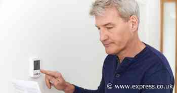 Martin Lewis shares urgent warning to anyone with British Gas, EDF, Octopus, Ovo and more