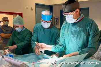 Neuer Pulmonalklappenersatz wird schonend eingesetzt