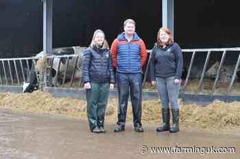 Top biosecurity tips from Welsh farmer on protecting cattle from TB